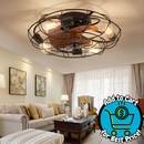 HOOMEDELIER  20" Farmhouse Black Ceiling Fan with Light (3 Blades and Remote Included)