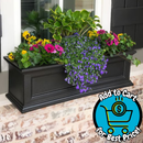 Mayne Rectangle 36-in W x 11-in L x 11-in H Black Plastic Outdoor Self Watering Window box