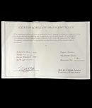 "Kitin I" by S. Morrison on Giclee Painting