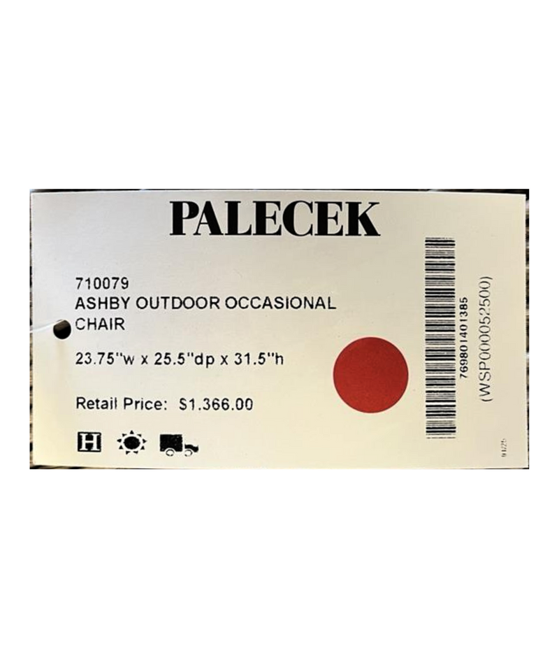 Palecek Ashby Outdoor Occasional Chair
