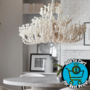 Palecek Seychelles Coco Chandelier