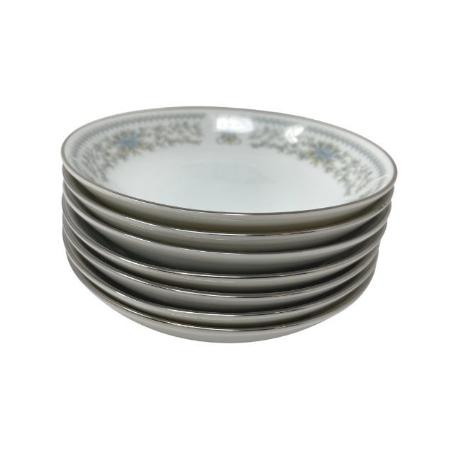Hanover Platinum Fine China by NITTO - 47 Pieces